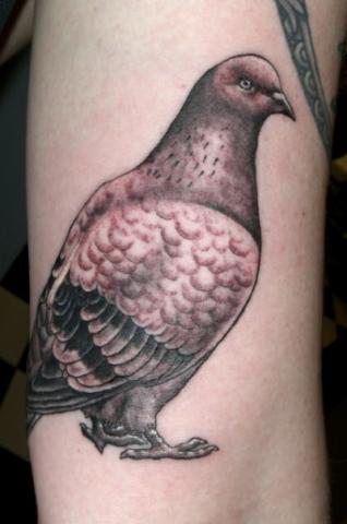 Татуировка голубь на ноге