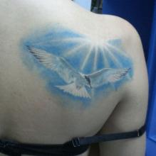  Татуировка на лопатке девушки в виде чайки Значение тату «Чайки» | Значение тату на лопатке 