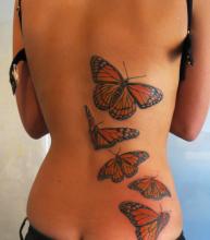 Тату бабочки для девушек на спине